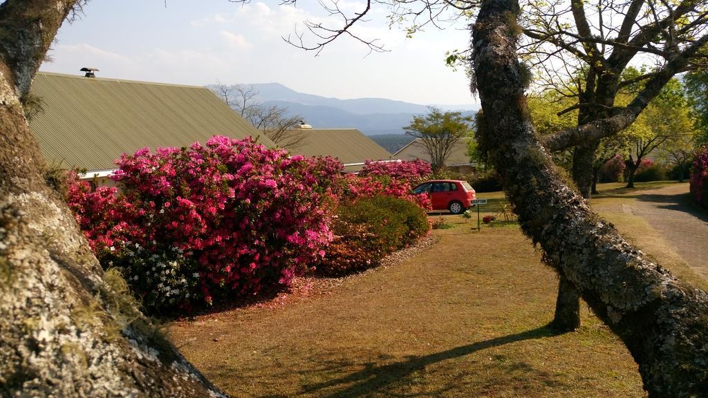Kloofsig Holiday Cottages Graskop Buitenkant foto